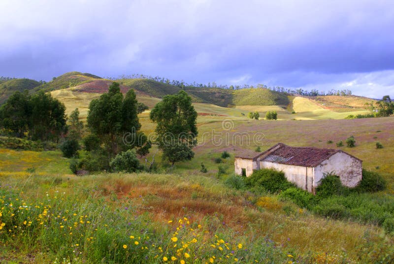 Landscape of colorful countryside with ruin of old house. Landscape of colorful countryside with ruin of old house.