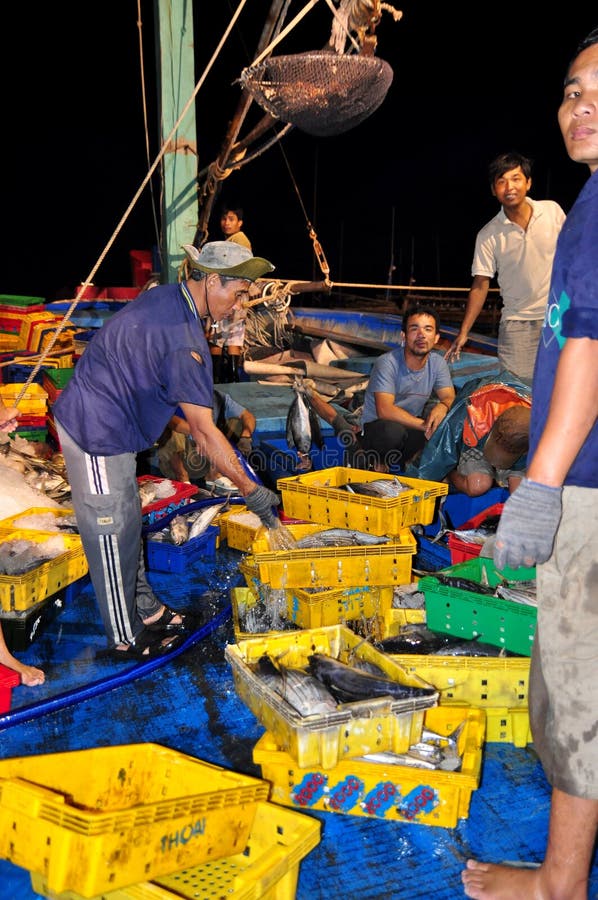 Rybacy są zbierający rybołówstwo i sortujący po długiego dnia połowu w Hon Ro porcie morskim, Nha Trang miasto