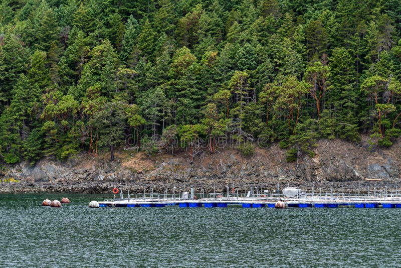 Fish farm in the Salish Sea, floating pens close to a rocky, forest covered coastline. Fish farm in the Salish Sea, floating pens close to a rocky, forest covered coastline