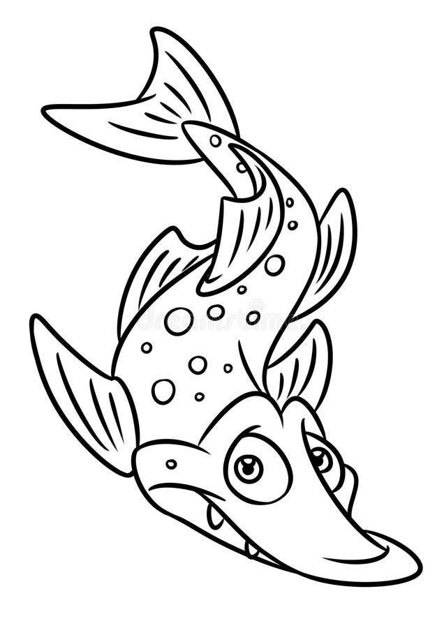 Rybie szczupak kolorystyki strony kreskówki ilustracje ilustracji