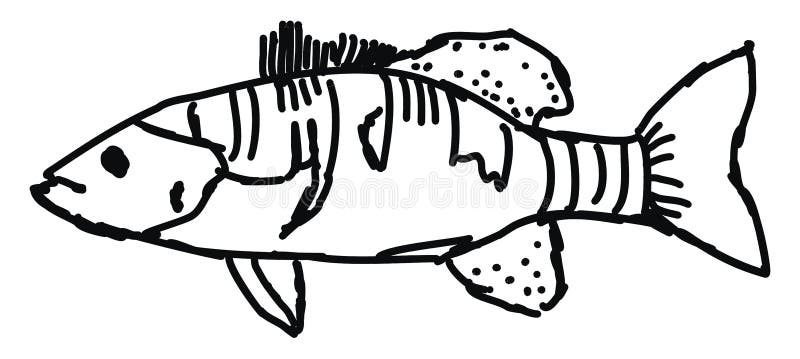 Rybowanie, ilustracja, wektor ilustracji