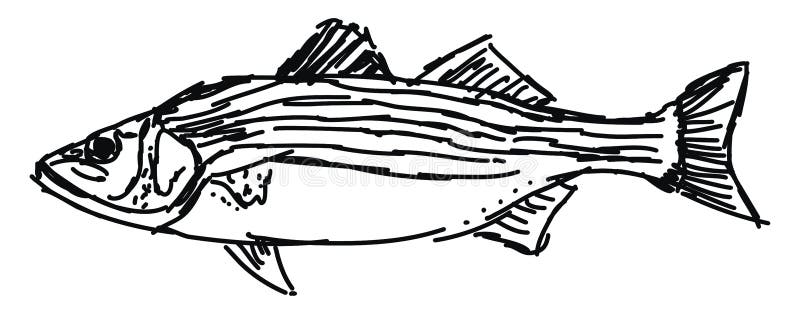 Rybowanie, ilustracja, wektor ilustracji