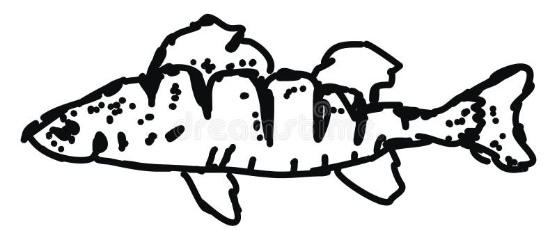 Rybowanie, ilustracja, wektor ilustracja wektor