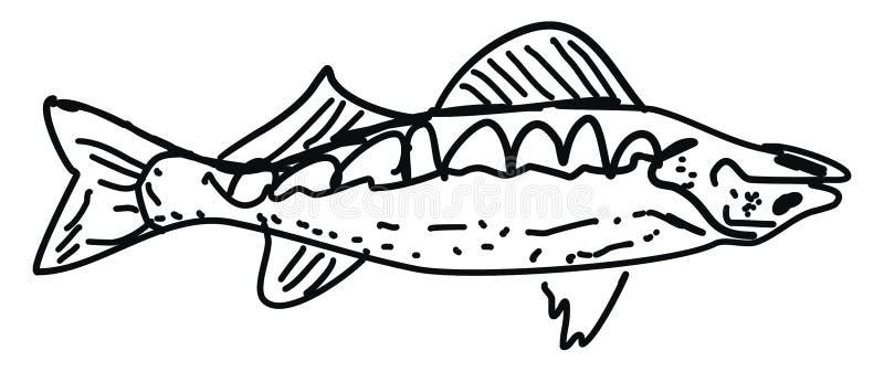 Rybowanie, ilustracja, wektor ilustracji
