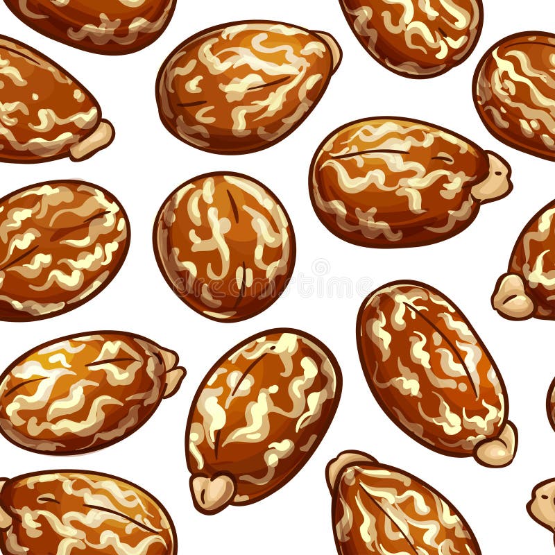 Rycynowy wektoru wz?r ilustracja wektor Rycynowy wektoru wz?r ilustracja wektor