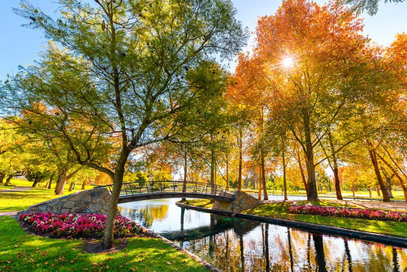 Rymill Park with bridge over the pond in Adelaide city