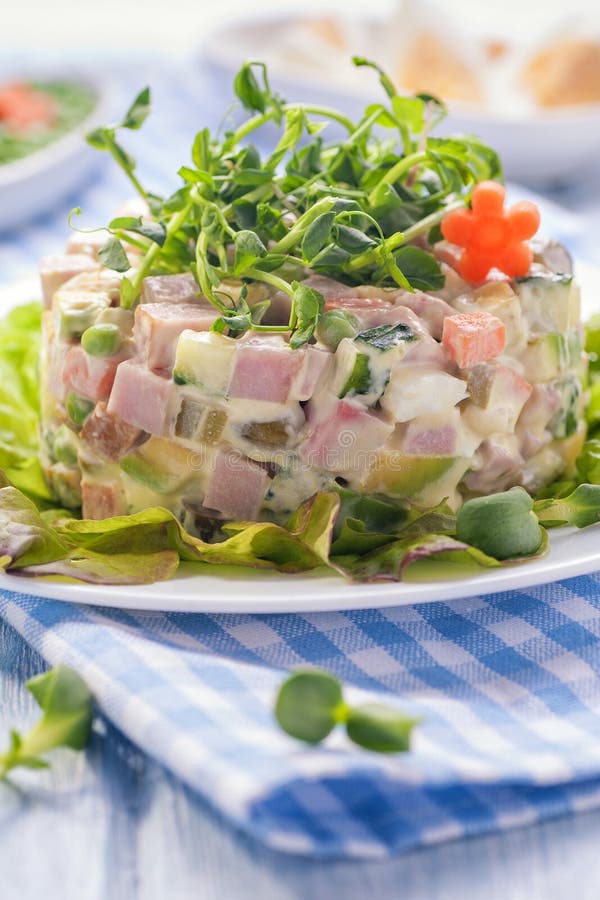 Rysk ljus sallad royaltyfria foton Rysk ljus sallad royaltyfria foton