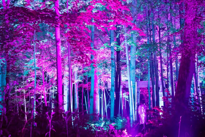 Ryssland Moscow festival av ` för konst`-inspiration, arkivfoton Ryssland Moscow festival av ` för konst`-inspiration, arkivfoton