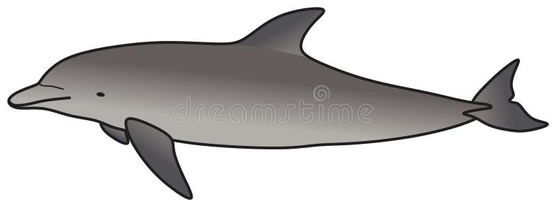 Rysunek wektora delfinów na izolowanym tle. pływanie w wodach oceanicznych. ilustracji