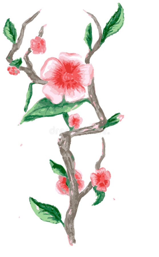 Rysunkowa gałąź Sakura, menchia kwiaty ilustracja wektor Rysunkowa gałąź Sakura, menchia kwiaty ilustracja wektor