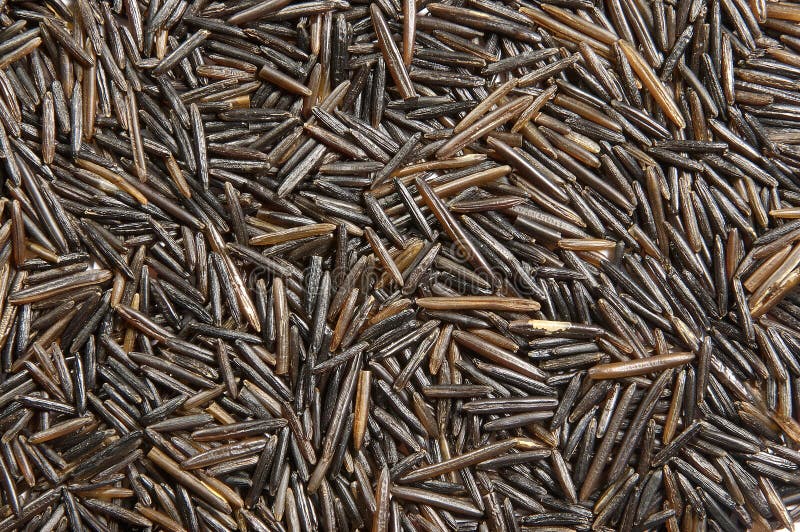 The Wild Rice texture closeup. The Wild Rice texture closeup