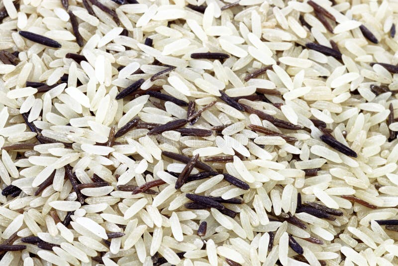 Long grain white and wild rice. Studio shot. Long grain white and wild rice. Studio shot.