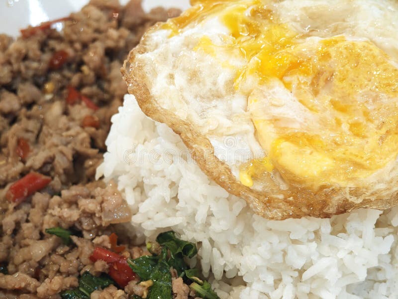 Ryż zwieńczony smażoną wieprzowiną z bazylią świętą i smażonym jajkiemThail food homemade blisko zdjęcia royalty free