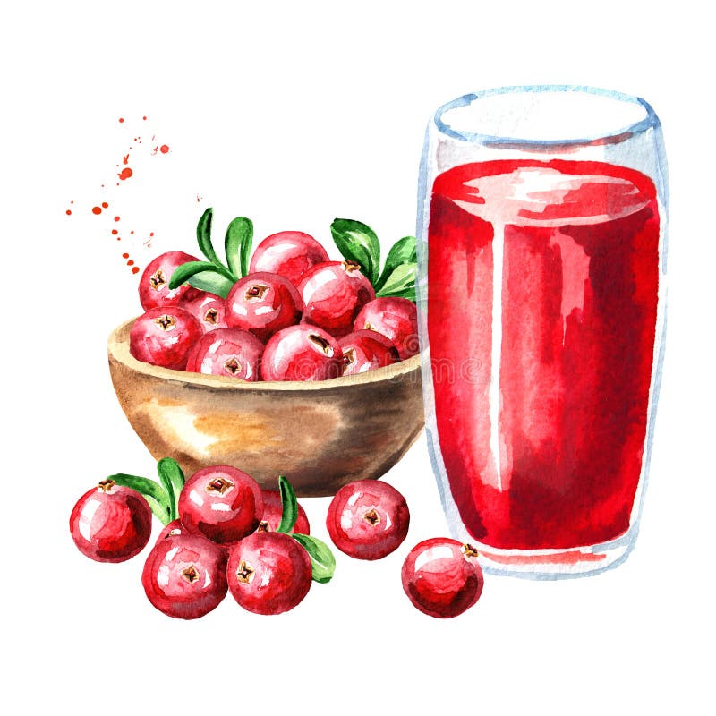 Rzuca kulą z dojrzałym czerwonym cranberry i szkłem cranberry sok Akwareli ręka rysująca ilustracja, odizolowywająca na białym tl ilustracja wektor Rzuca kulą z dojrzałym czerwonym cranberry i szkłem cranberry sok Akwareli ręka rysująca ilustracja, odizolowywająca na białym tl ilustracja wektor