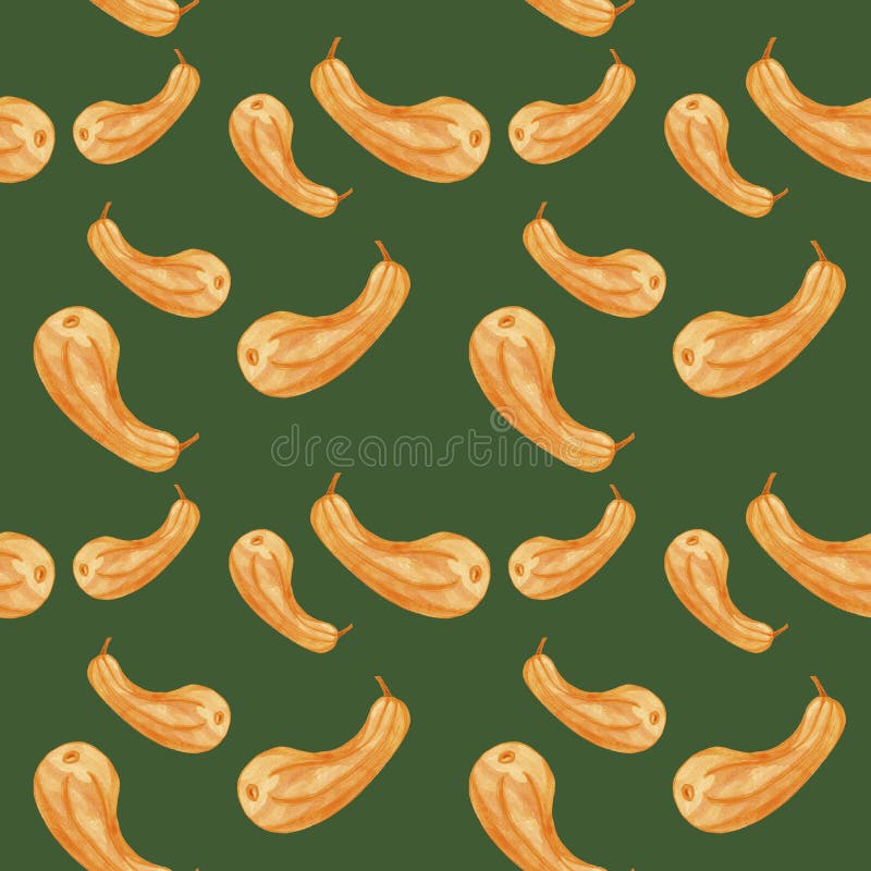 Râle d'aquarelle à motifs transparents et à motifs aquarelles citrouille orange isolée sur fond vert illustration libre de droits Râle d'aquarelle à motifs transparents et à motifs aquarelles citrouille orange isolée sur fond vert illustration libre de droits