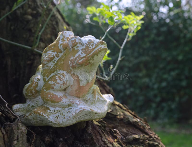 Rãs feitas da argila imagem de stock Rãs feitas da argila imagem de stock