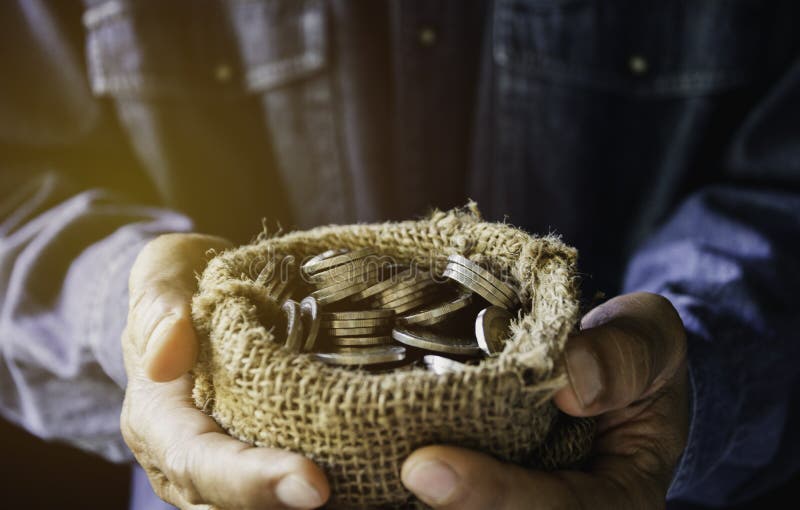 Räcka hållande pengar guld- mynt med växten i handen för finansiellt och sparande pengarbegrepp royaltyfri fotografi Räcka hållande pengar guld- mynt med växten i handen för finansiellt och sparande pengarbegrepp royaltyfri fotografi