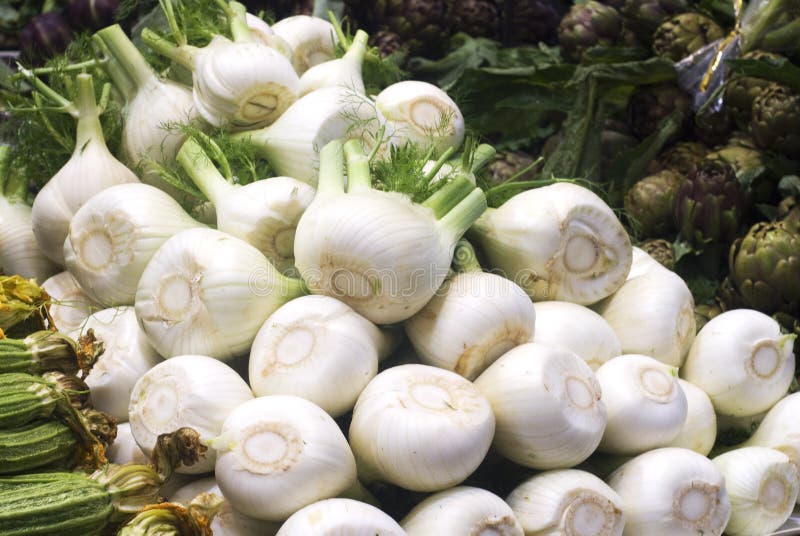 Raw fennel bulbs in stack at farmers market or grocer. Raw fennel bulbs in stack at farmers market or grocer.