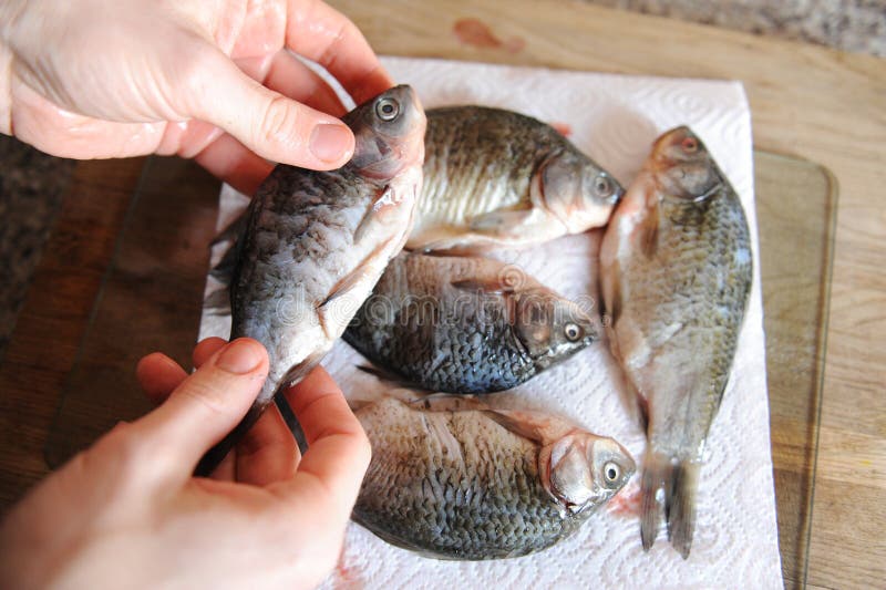 Rå ny fisk som är hel på snittbräde Karp i händerna av kocknärbilden arkivfoton