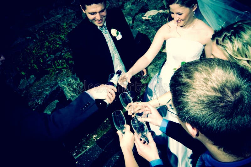 Download Réception nuptiale image stock. Image du sourire, boire - 64123