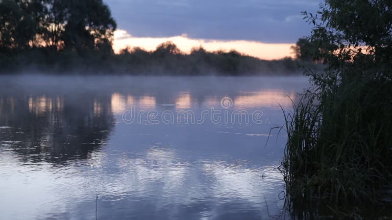 Réflexion de lever de soleil de matin dans la hausse brumeuse de brouillard de l'eau de rivière débordante