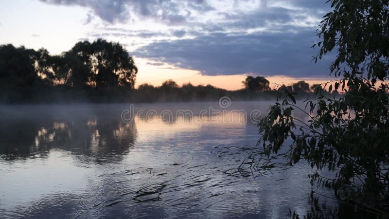 Réflexion de lever de soleil de matin dans la hausse brumeuse de brouillard de l'eau de rivière débordante