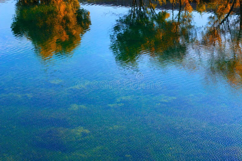 Réflexion des arbres sur la surface de l'eau photos stock