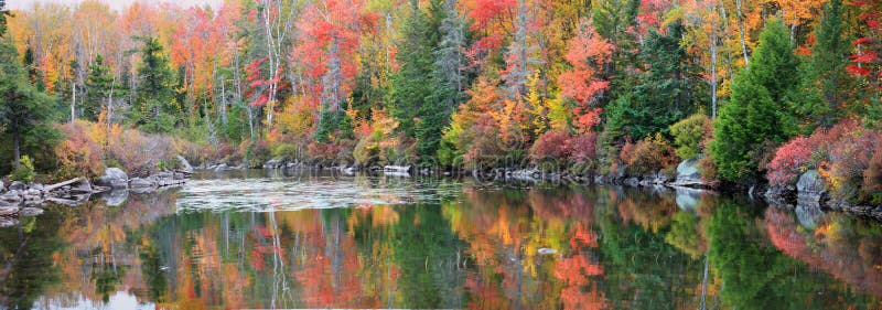 Réflexions lumineuses d'arbre d'automne au Vermont image stock Réflexions lumineuses d'arbre d'automne au Vermont image stock