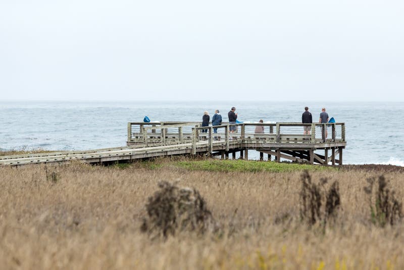 Région de visionnement de faune avec des touristes photos stock Région de visionnement de faune avec des touristes photos stock