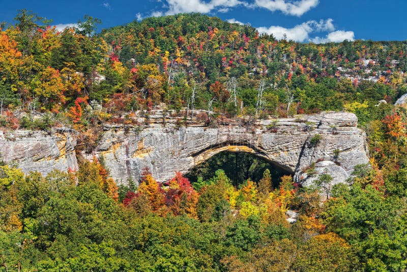 Région scénique de voûte naturelle au lac Kentucky Parkers dans Daniel Boone National Forest images libres de droits Région scénique de voûte naturelle au lac Kentucky Parkers dans Daniel Boone National Forest images libres de droits