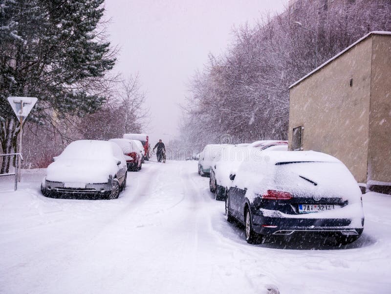 Usti nad Labem, Czech republic - 2.3.2019: Man walking the dog in a heavy snowfall, between cars covered with snow, in the parking lot. Usti nad Labem, Czech republic - 2.3.2019: Man walking the dog in a heavy snowfall, between cars covered with snow, in the parking lot