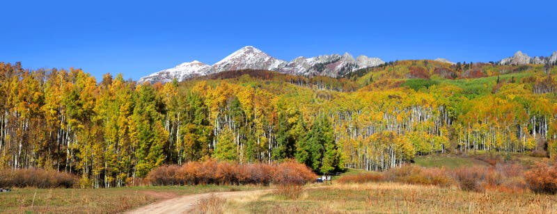 Réserve forestière de Gunnison image stock Réserve forestière de Gunnison image stock