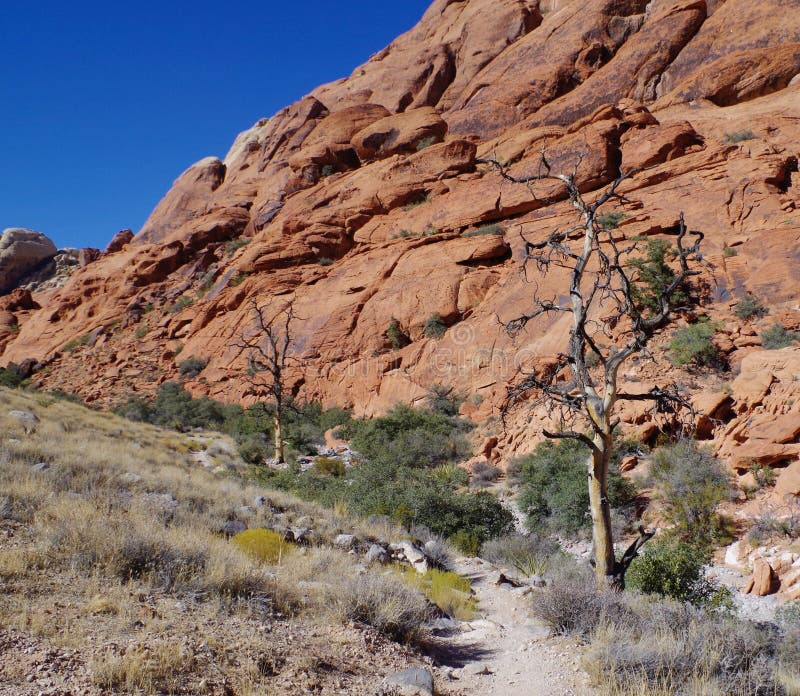 Réservoirs de calicot, région rouge de conservation de roche, Nevada du sud, Etats-Unis photographie stock libre de droits Réservoirs de calicot, région rouge de conservation de roche, Nevada du sud, Etats-Unis photographie stock libre de droits