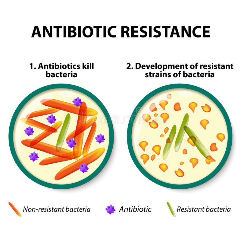 Résistance antibiotique illustration libre de droits Résistance antibiotique illustration libre de droits