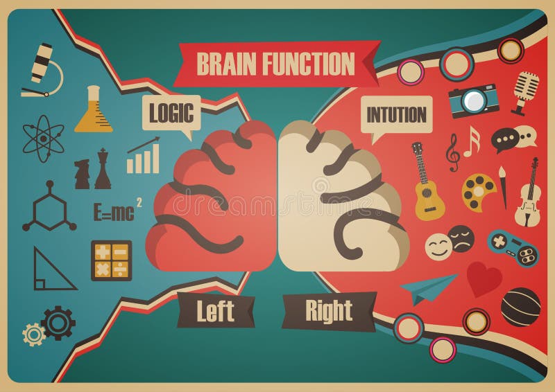 Rétro diagramme de fonction de cerveau