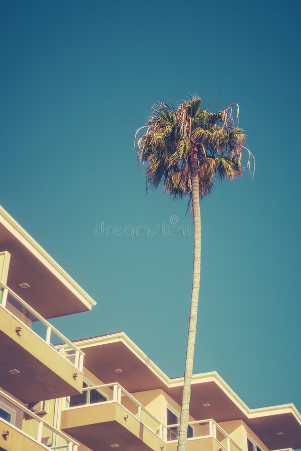 Retro Californian Beach Hotel With Palm Tree And Copy Space. Retro Californian Beach Hotel With Palm Tree And Copy Space