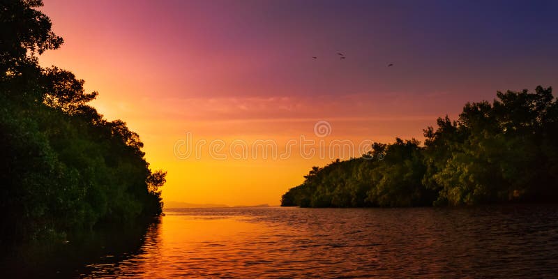 Río azul del mangle que lleva a Trinidad and Tobago del mar abierto la puesta del sol colorida imagen de archivo libre de regalías Río azul del mangle que lleva a Trinidad and Tobago del mar abierto la puesta del sol colorida imagen de archivo libre de regalías