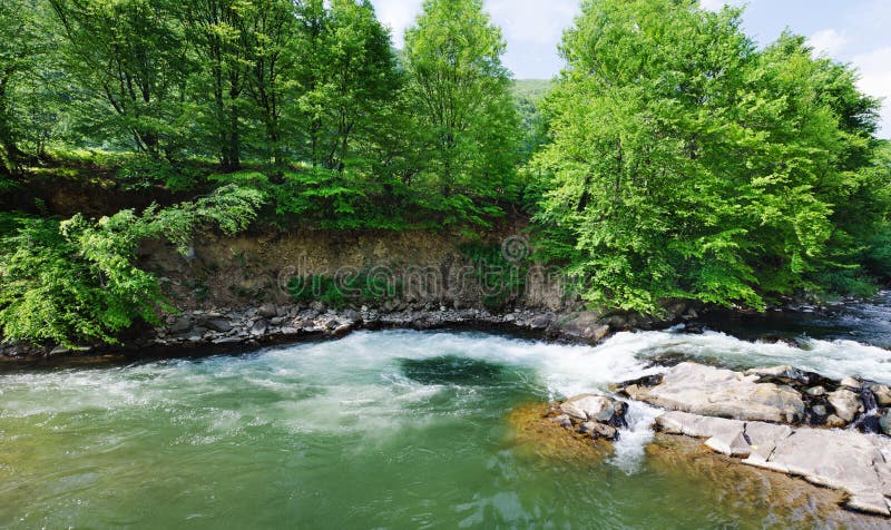 Río en el bosque imágenes de archivo libres de regalías Río en el bosque imágenes de archivo libres de regalías