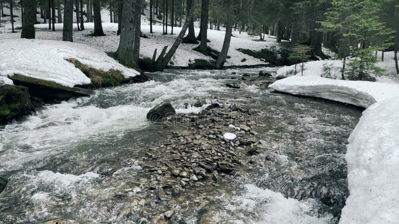 Río en la nieve a la vista del invierno. corriente de primavera fluyendo en el bosque con nieve que se derrite.