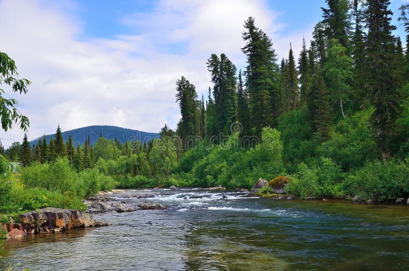 Río fluído de la montaña entre bosques densos y piedras enormes fotografía de archivo libre de regalías Río fluído de la montaña entre bosques densos y piedras enormes fotografía de archivo libre de regalías