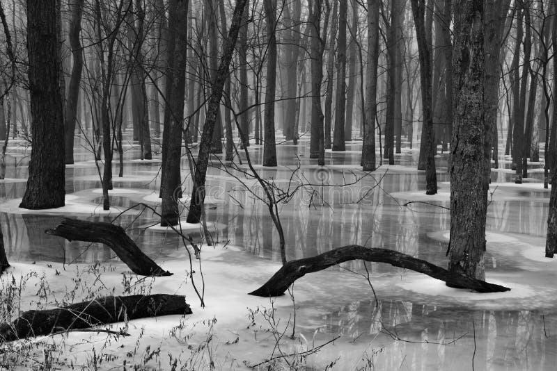 Río que deshiela en último invierno fotos de archivo Río que deshiela en último invierno fotos de archivo