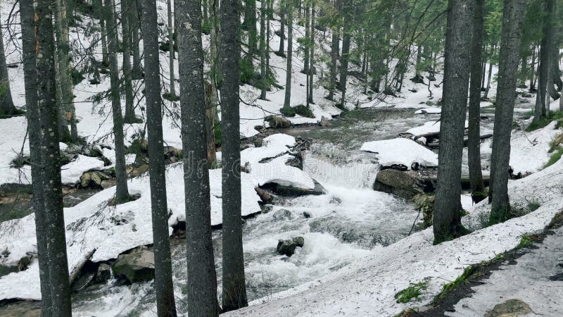 Río rápido en bosque invernal. vista de rollo rápido que fluye entre las rocas en madera