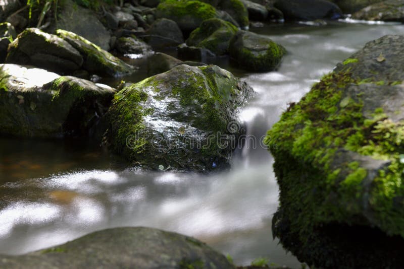 Río salvaje en el bosque del Ravennaschlucht foto de archivo libre de regalías Río salvaje en el bosque del Ravennaschlucht foto de archivo libre de regalías