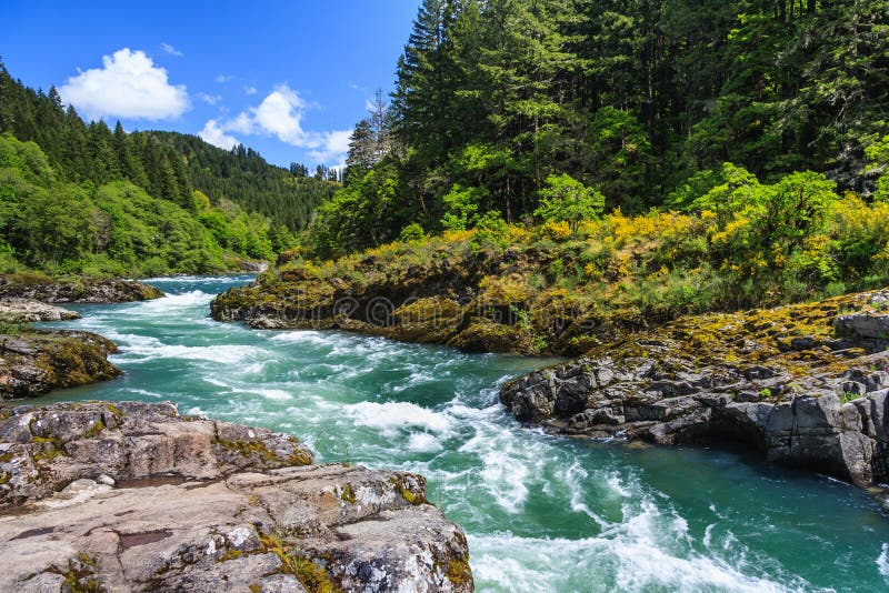 Río y bosque de la montaña en el parque nacional Washington los E.E.U.U. de las cascadas del norte
