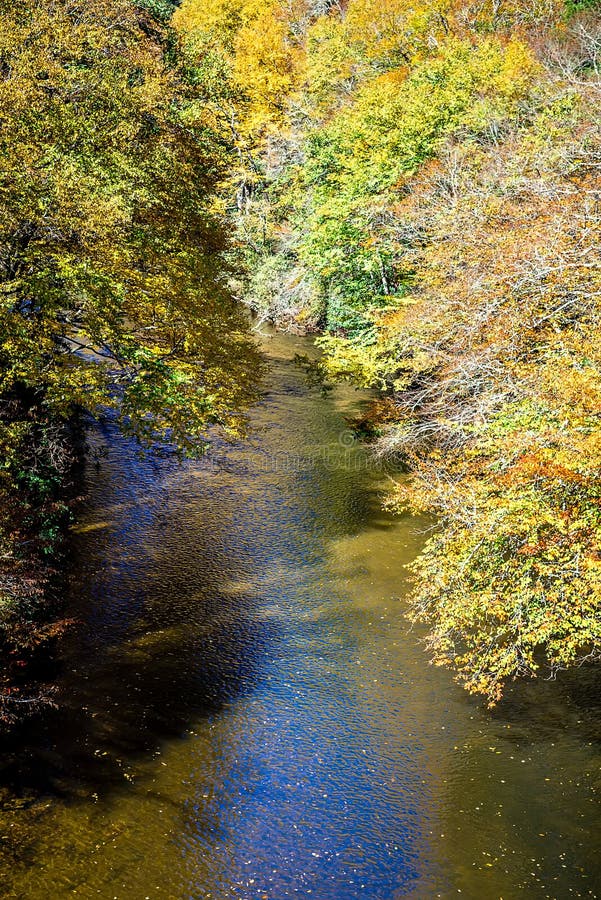Río y follaje de otoño de la montaña en los apalaches de N occidental imagen de archivo Río y follaje de otoño de la montaña en los apalaches de N occidental imagen de archivo