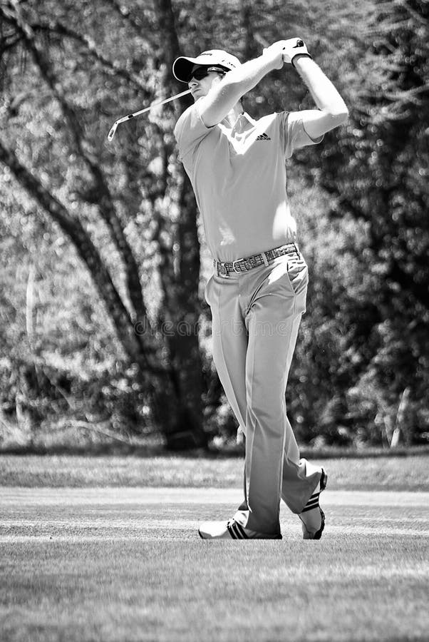 różany Justin żelazny strzał ngc2010 obraz stock różany Justin żelazny strzał ngc2010 obraz stock