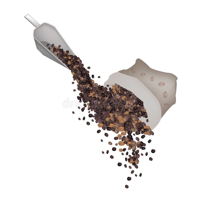 Coffee Time, An Illustration of Different Roasted Coffee Beans Dropped from Canvas Bag and Metal Scoop Isolated on A White Background. Coffee Time, An Illustration of Different Roasted Coffee Beans Dropped from Canvas Bag and Metal Scoop Isolated on A White Background