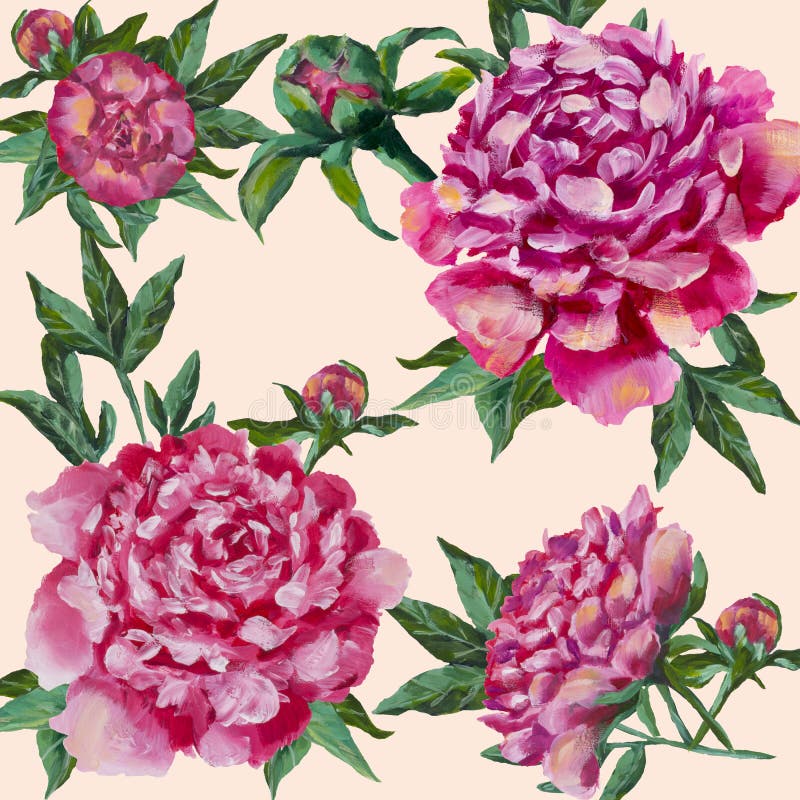 Różowa peoni ręka malująca Peonia z pączkami i liśćmi, akwarela ilustracja wektor Różowa peoni ręka malująca Peonia z pączkami i liśćmi, akwarela ilustracja wektor