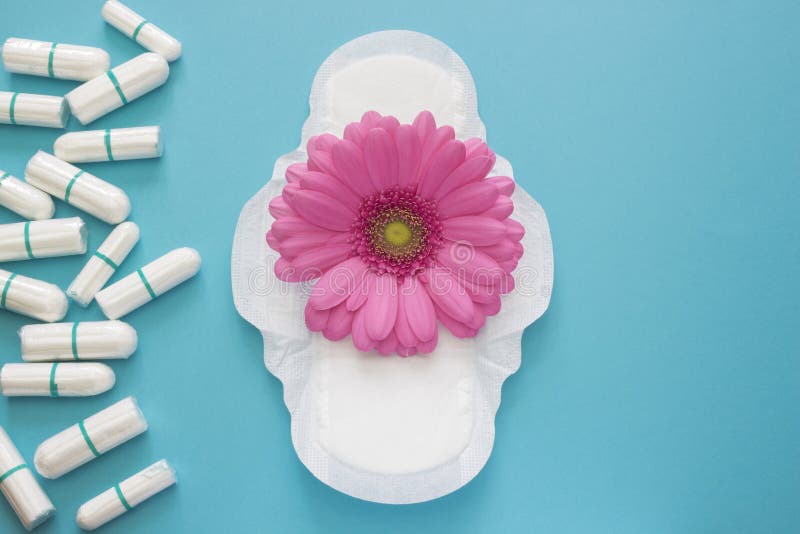 Pink gerbera daisy flower and menstruation pad and tampons. Woman hygiene conception photo. Soft tender protection for woman critical days, gynecological menstrual cycle. Pink gerbera daisy flower and menstruation pad and tampons. Woman hygiene conception photo. Soft tender protection for woman critical days, gynecological menstrual cycle