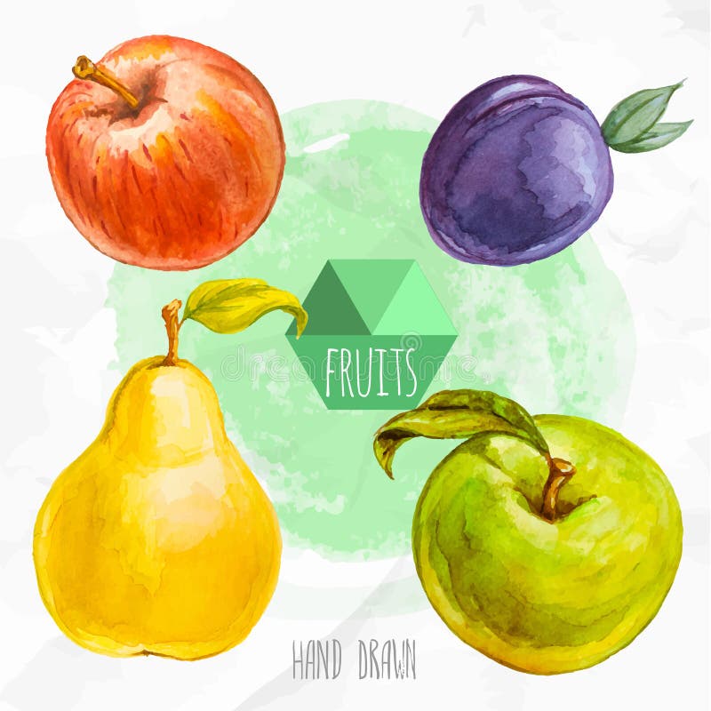 Röd för vattenfärg hand målad och grönt äpple, päron och plommon stock illustrationer Röd för vattenfärg hand målad och grönt äpple, päron och plommon stock illustrationer